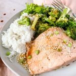 salmon with rice and broccoli