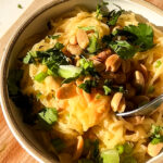 spicy peanut butter noodles with peanuts and cilantro