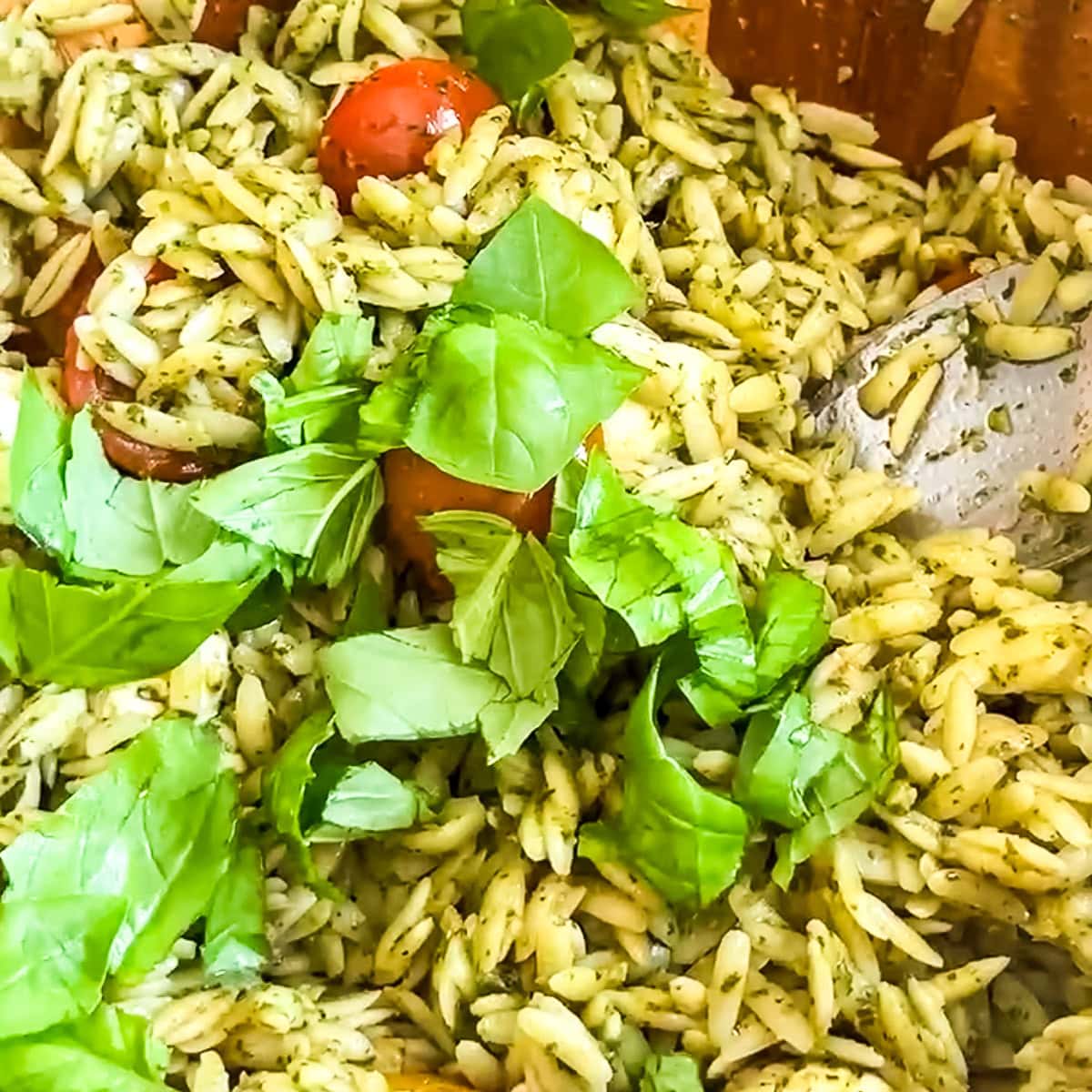 a close chose of orzo pesto salad with fresh basil